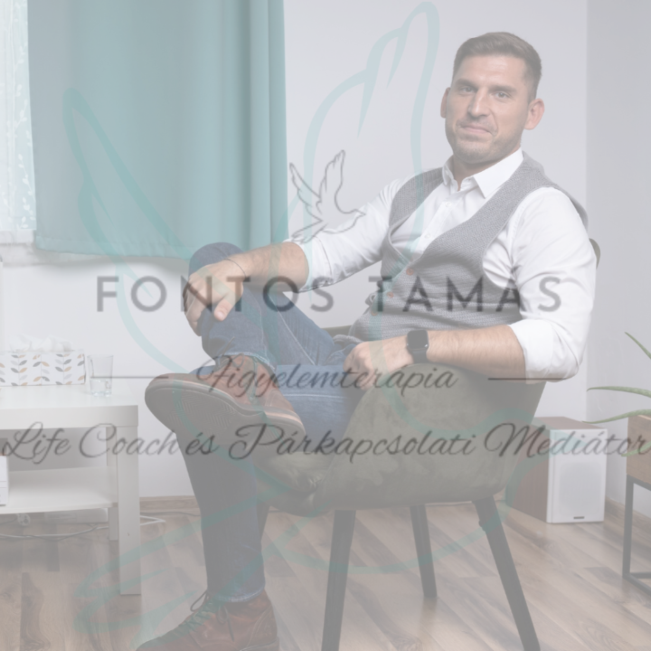 Szolgáltatásaim Párkapcsolati Mediátorként